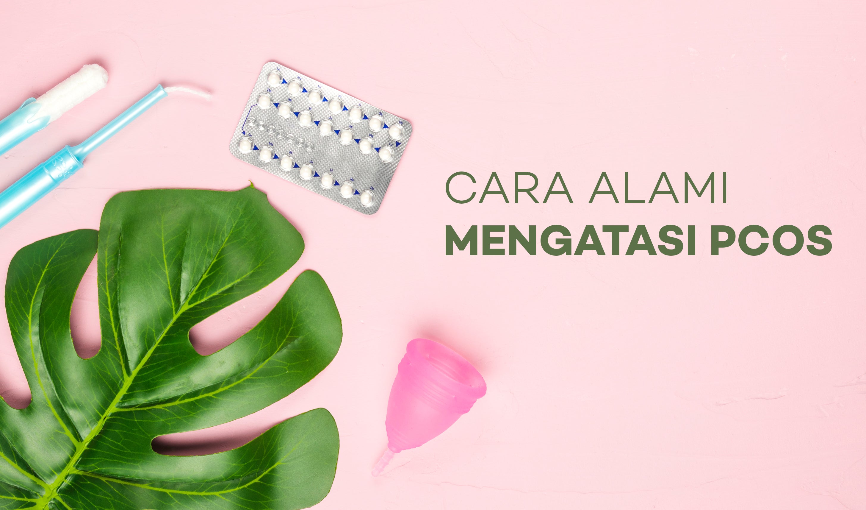 Penyebab PCOS dan Cara Alami Mengatasinya