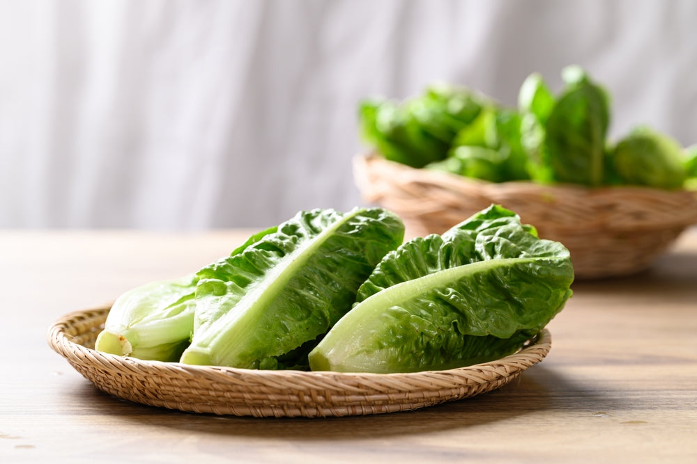 manfaat dan kandungan romaine lettuce