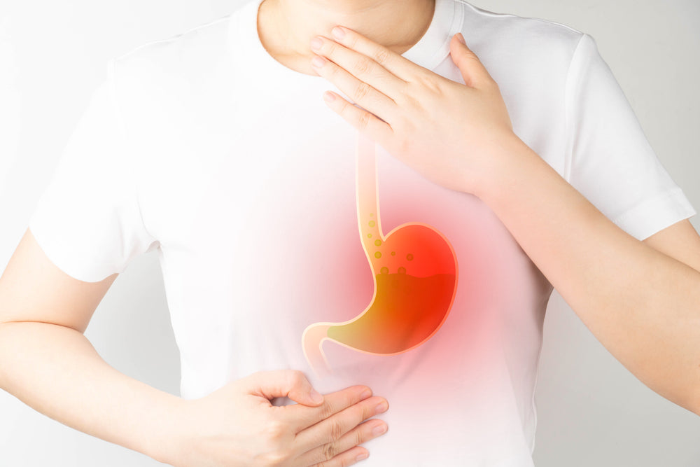 fungasi asam lambung asam klorida hci