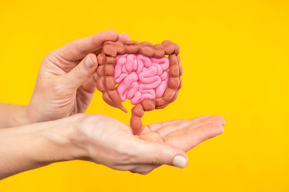 7 Fakta Usus yang Jarang Kamu Tahu