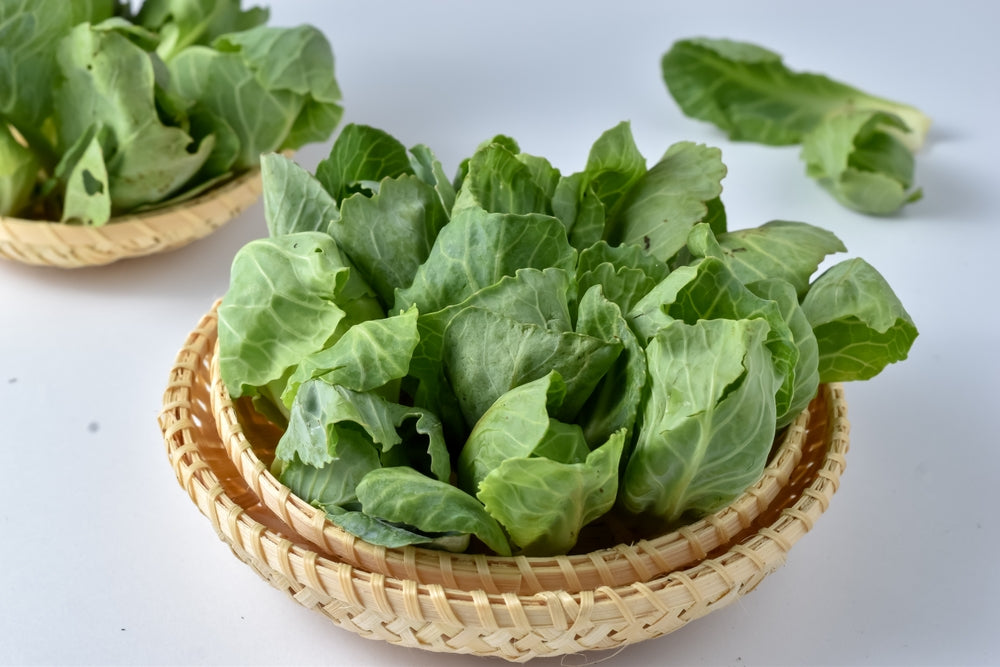 manfaat kandungan khasiat sayur kailan