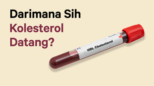 Darimana Sih Kolesterol Datang?