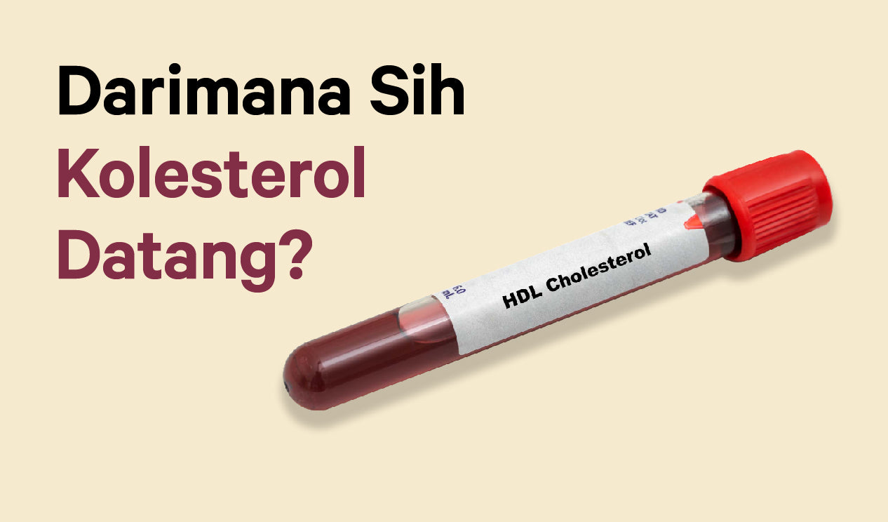 Darimana Sih Kolesterol Datang?