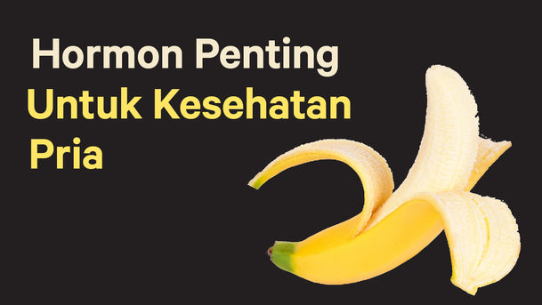 3 Macam dan Fungsi Hormon Pria