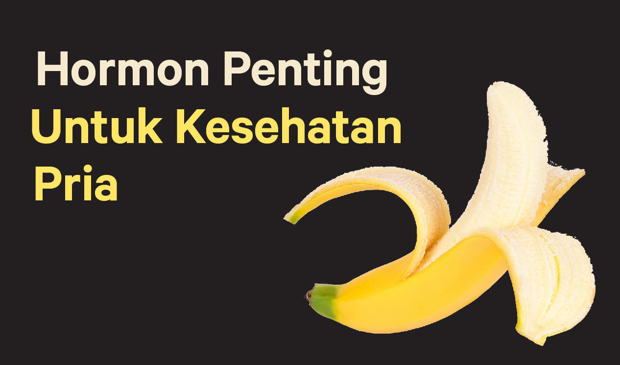 3 Macam dan Fungsi Hormon Pria
