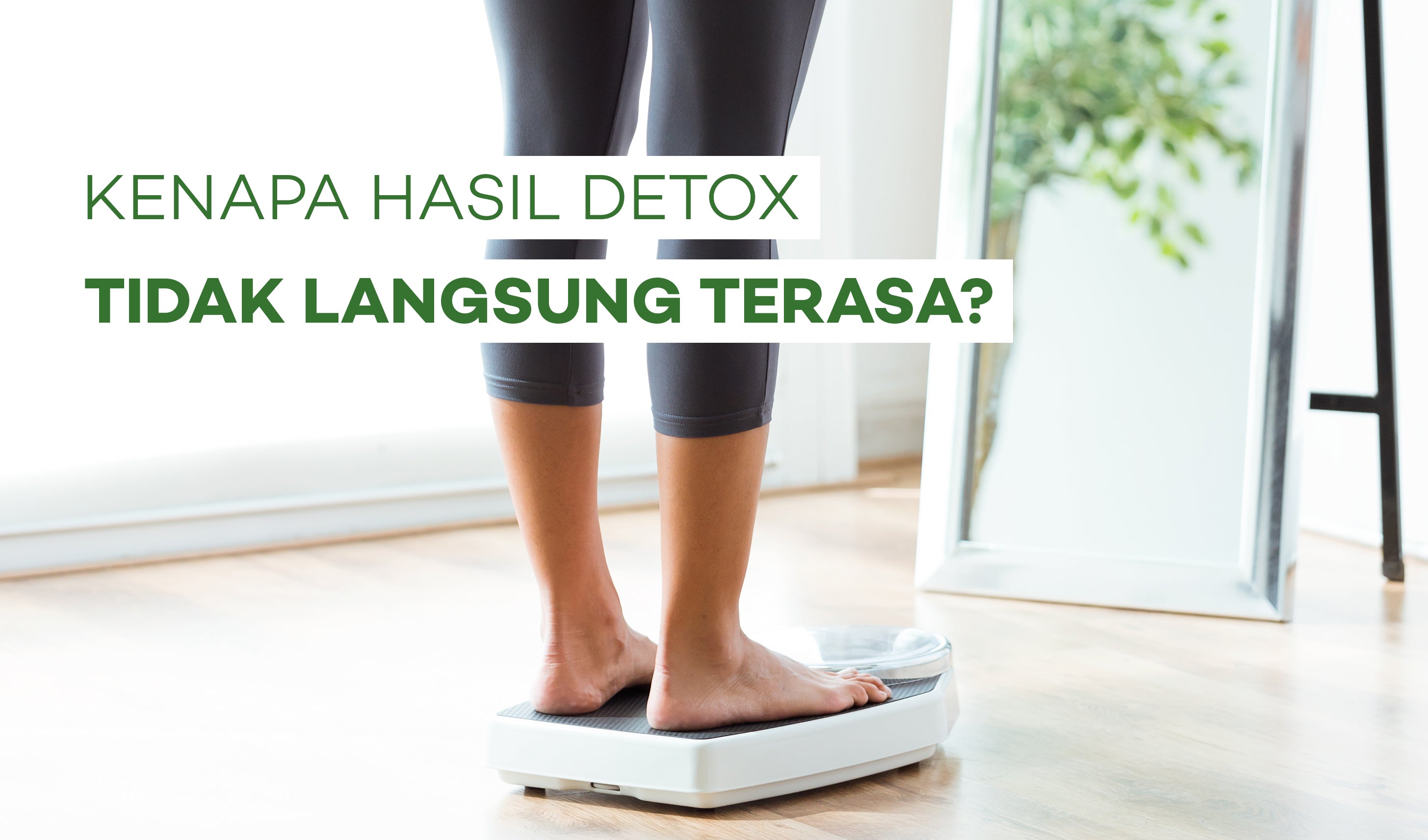Kenapa Hasil Detox Tidak Langsung Terasa?