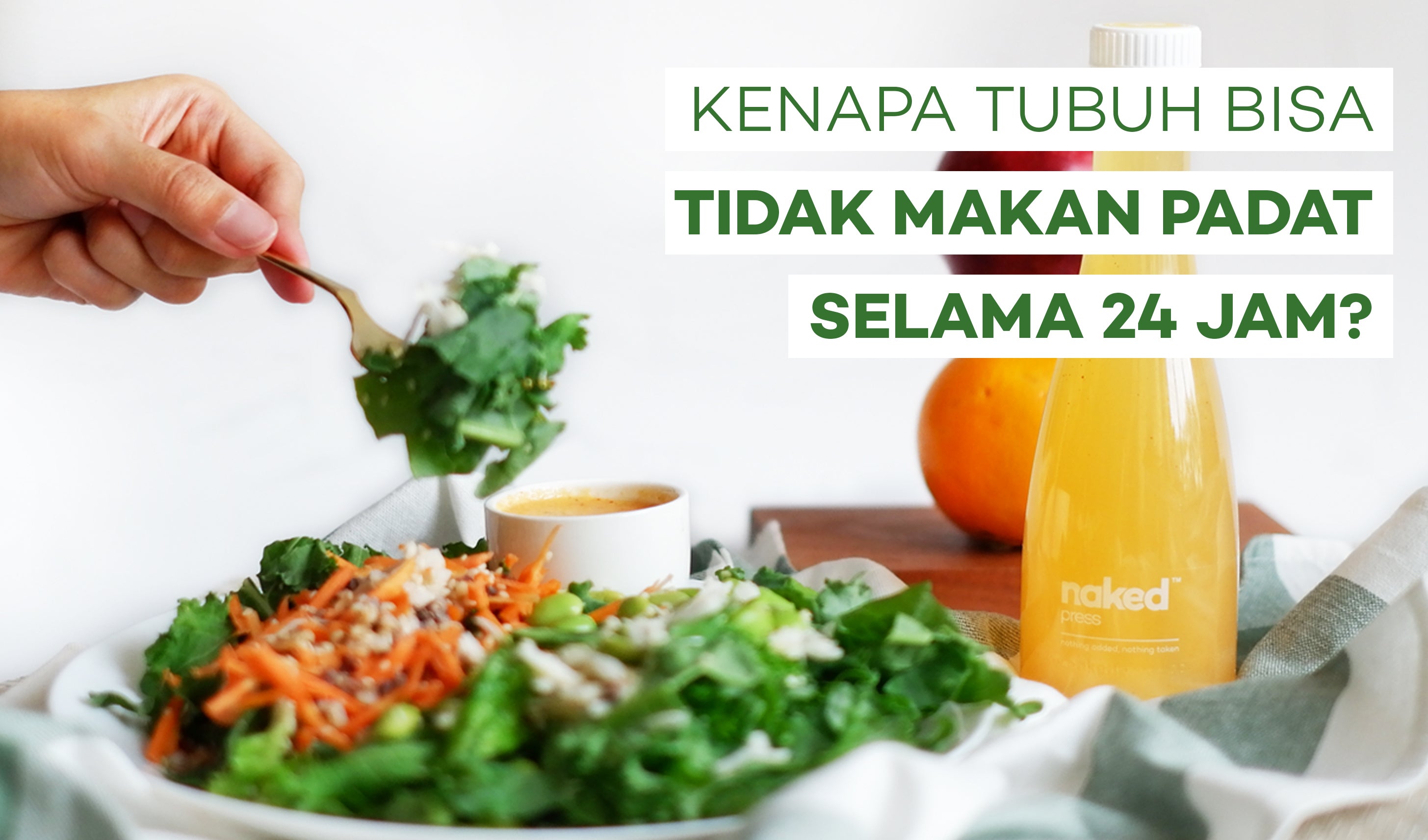 Kenapa Tubuh Bisa Tidak Makan Padat Selama 24 Jam?