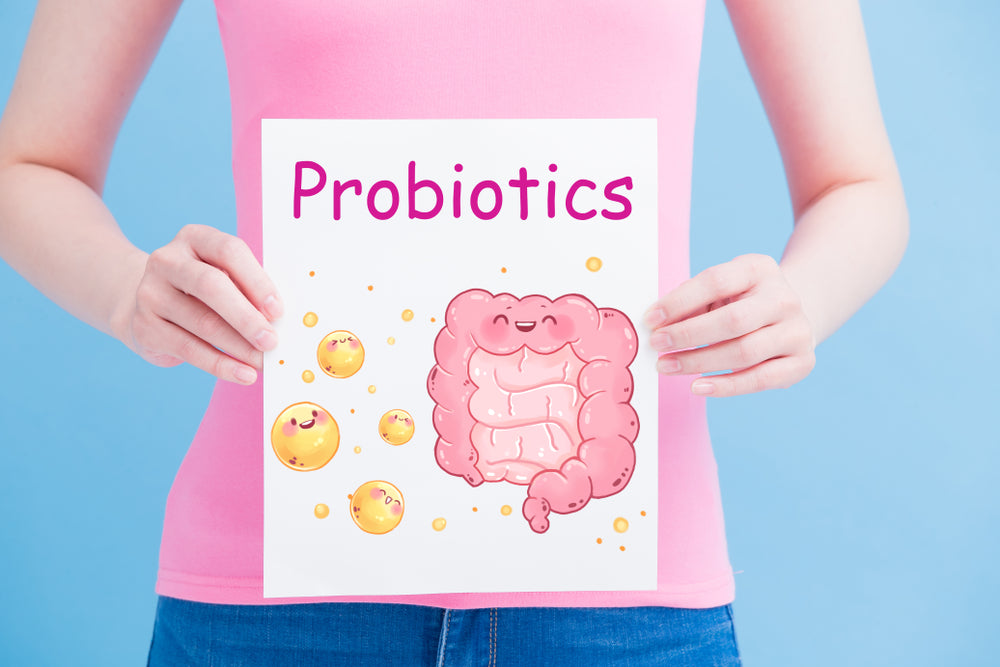 perbedaan probiotik dan prebiotik