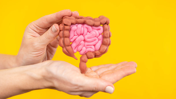 7 Fakta Usus yang Jarang Kamu Tahu