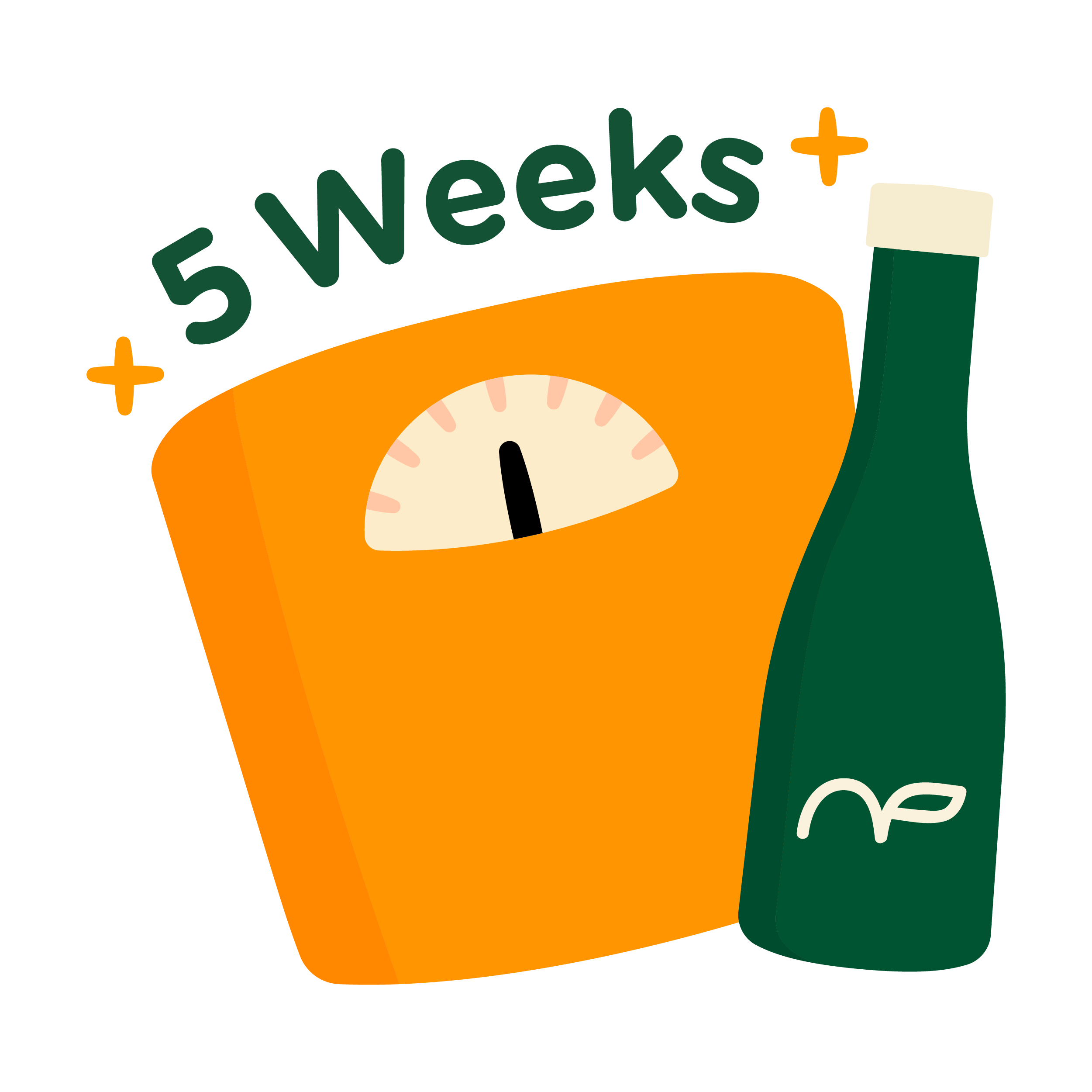 5 Weeks Weight Loss Program
